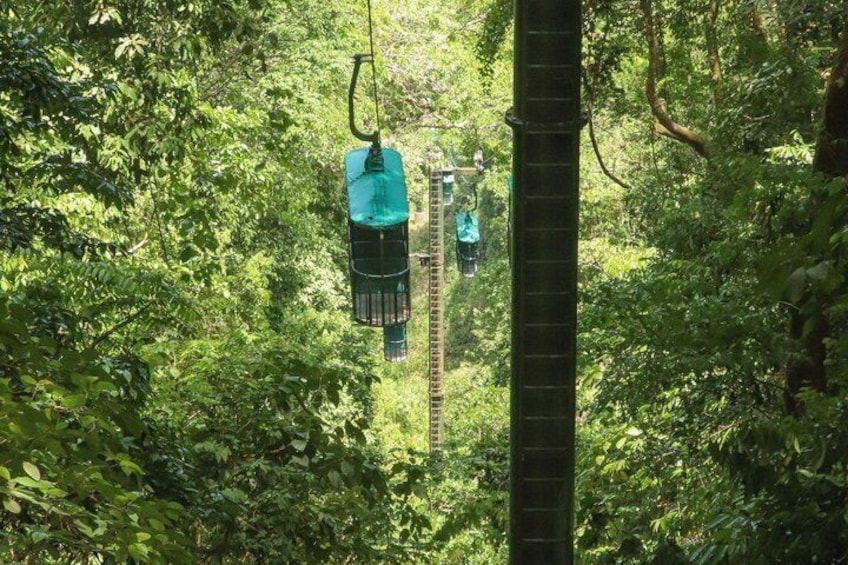 Jaco Rainforest Aerial Tram Experience 4