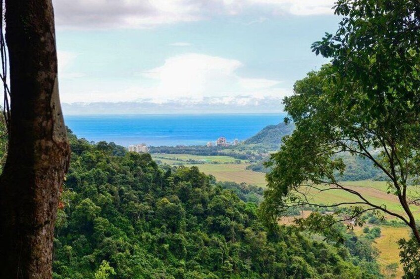 Jaco Rainforest Aerial Tram Experience 3