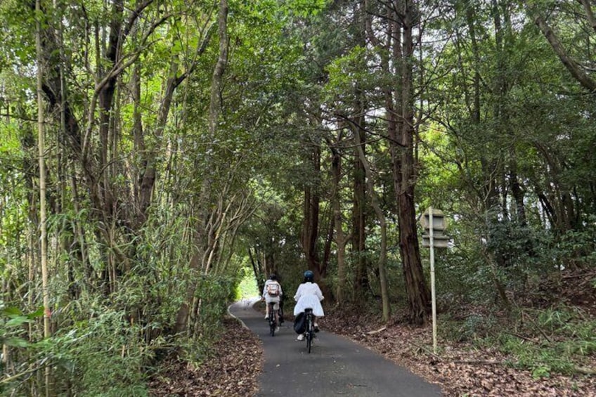 Beppu Hidden Backroads and Scenic Coasts eBike Tour 1