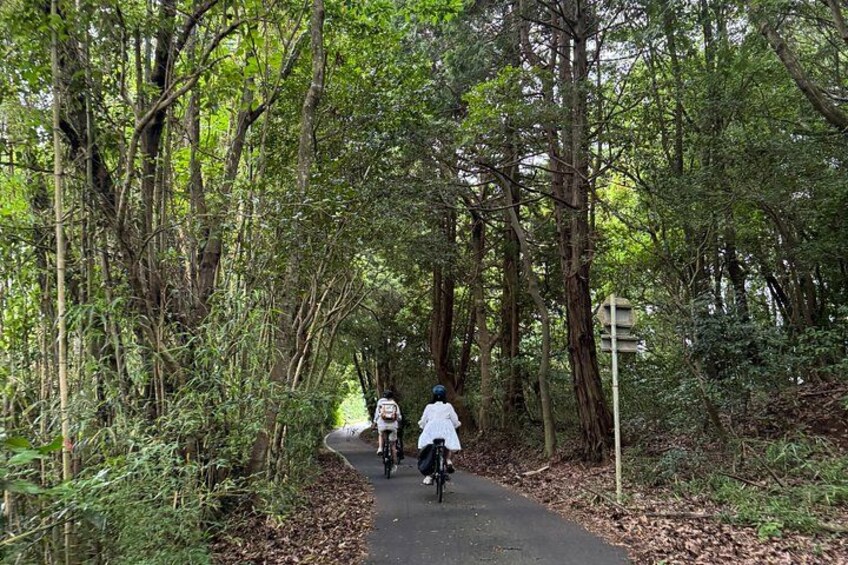 eBike Tour: Beppu's Hidden Back-roads & Scenic Coastlines 1