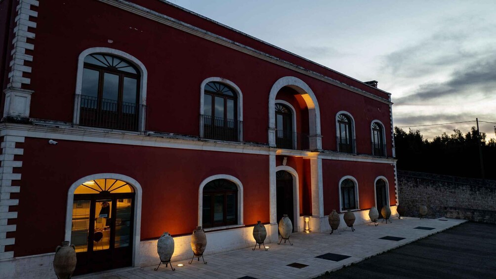 Picture 4 for Activity Valle d'Itria: Winery Tour and Classic Wine Tasting 3