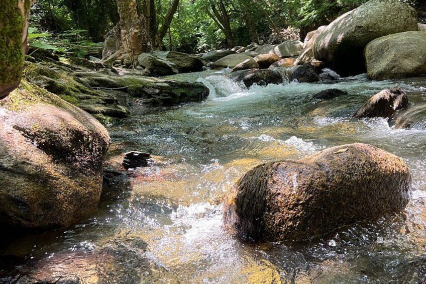 Un arroyo cristalino fluye sobre rocas en un área boscosa. 5