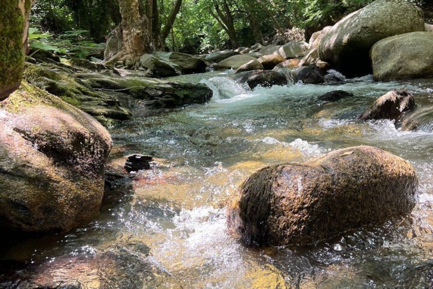 A clear stream flowing over rocks in a forested area. 5