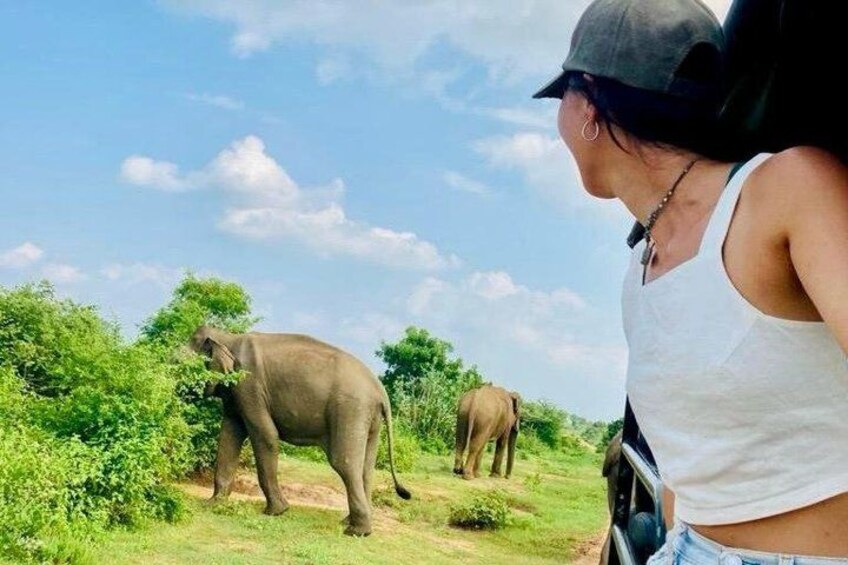 Udawalawe National Park Safari with Experienced Driver 3