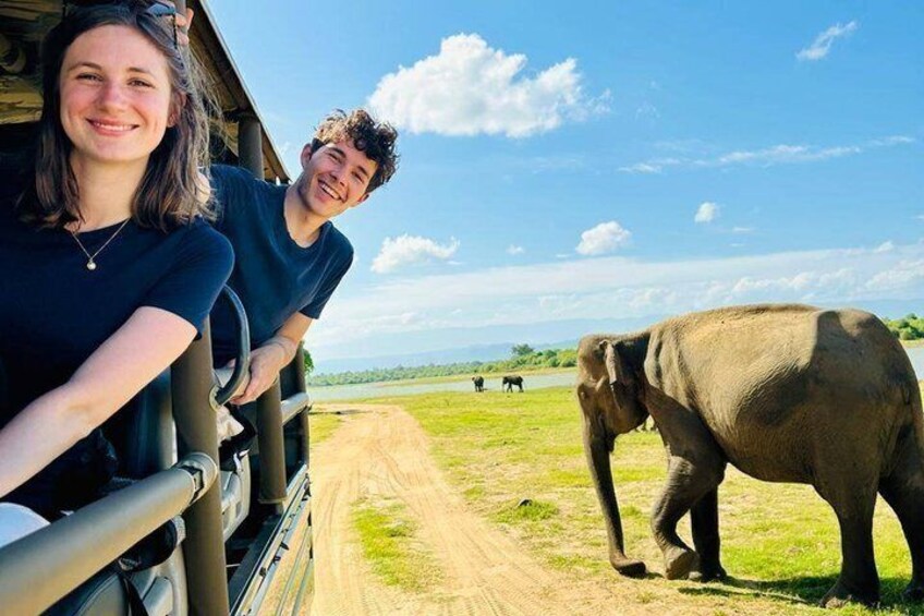 A dirt path, a wooden fence, and an elephant in a grassy field. 1