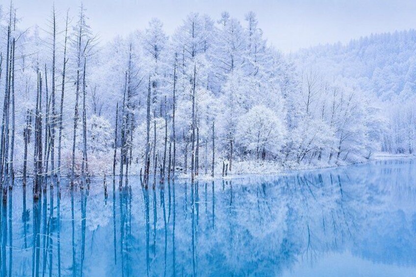 Paisaje invernal con árboles cubiertos de nieve y un lago tranquilo. 2