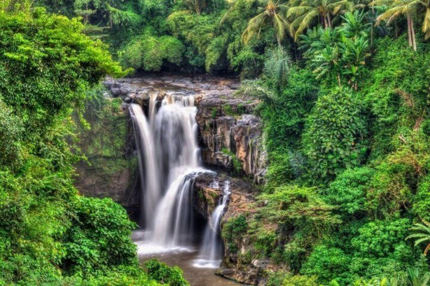A waterfall surrounded by lush greenery. 4