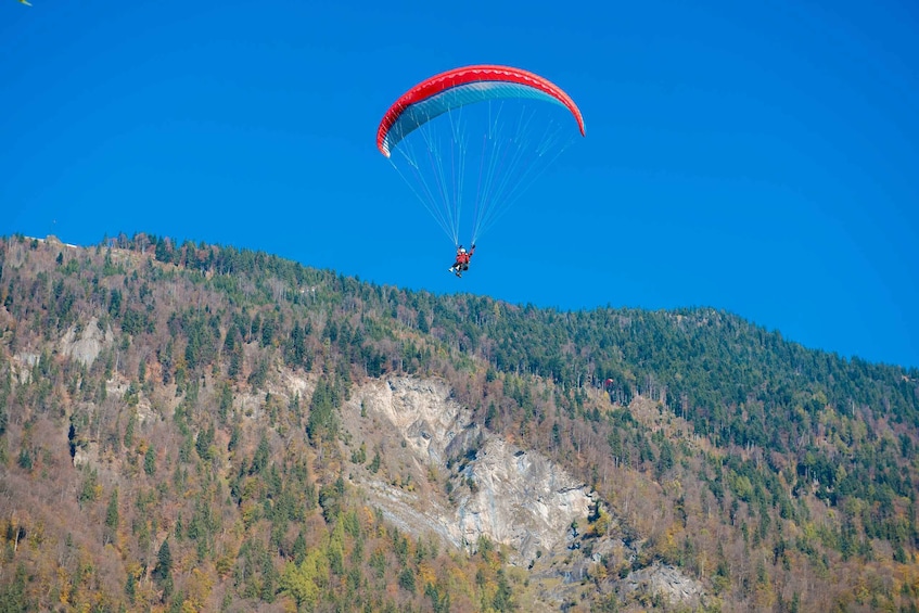 A paraglider descending towards a forested mountain. 2
