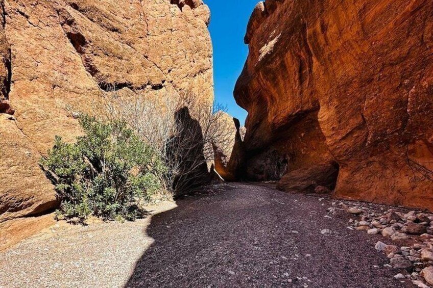 Dades Gorge Monkey Fingers Canyon Private Hike in Boumalne Dades 5