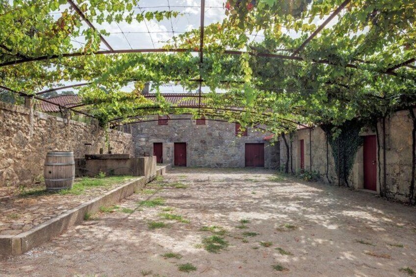 Green Wine and Villa do Conde Private Tour from Porto 3