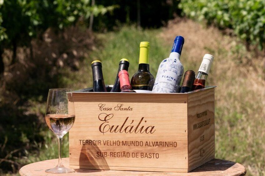 Green Wine and Villa do Conde Private Tour from Porto 1