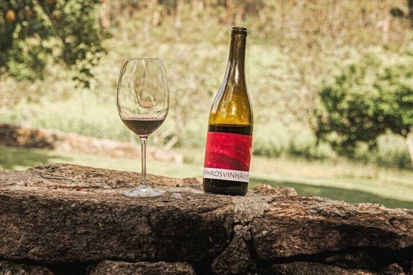 Green Wine and Villa do Conde Private Tour from Porto 4