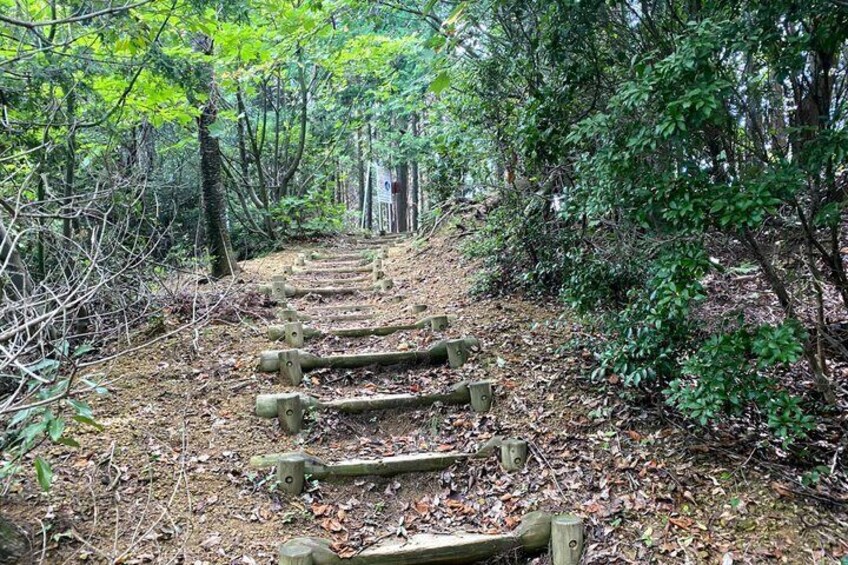 Minoh Falls Private Nature Escape Hiking and Hidden Waterfalls 2
