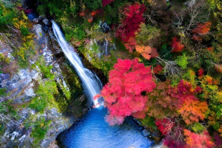 Minoh Falls Private Nature Escape Hiking and Hidden Waterfalls 1