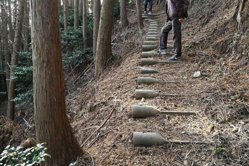 Minoh Falls Private Nature Escape Hiking and Hidden Waterfalls 5