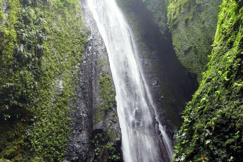Sao Tome Pick Trekking 5