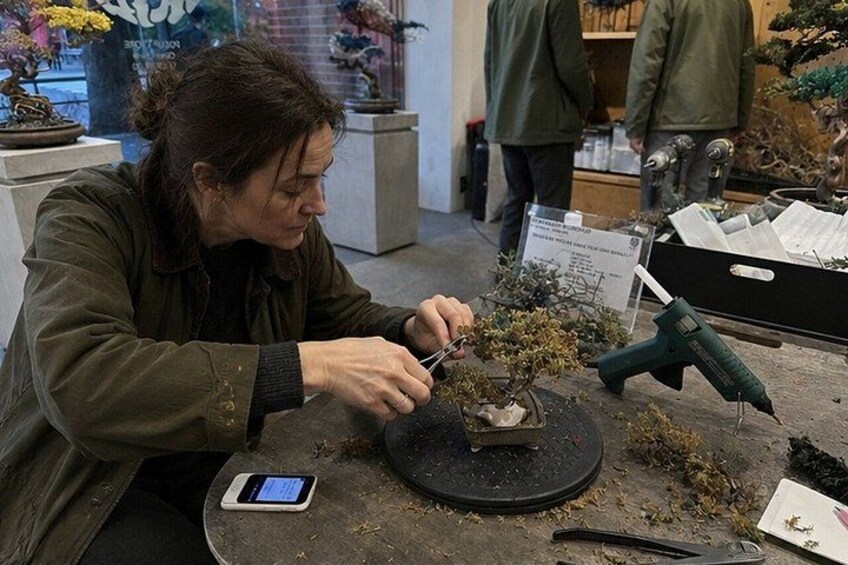 A person working on a bonsai tree with tools on a table. 2