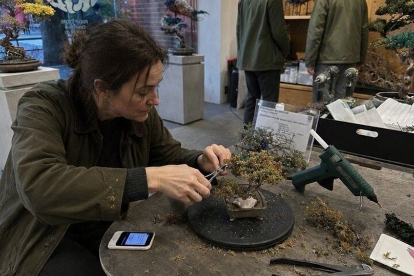 A person working on a bonsai tree with tools and a smartphone on a table. 2