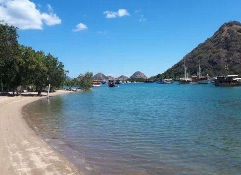 Picture 5 for Activity Labuan Bajo: Rangko Cave, Wae Cicu Beach & Sunset Tour 3