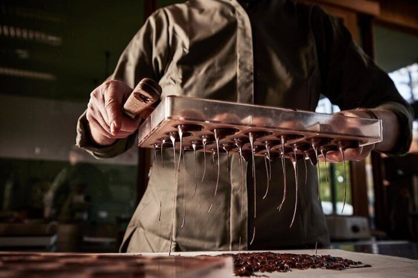 Bean to Bar Chocolate Making Experience near by the Zaanse Schans 4