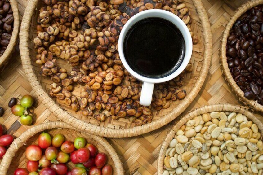 Pluma Hidalgo Coffee Farm Tour & Mountain Villages from Huatulco 4