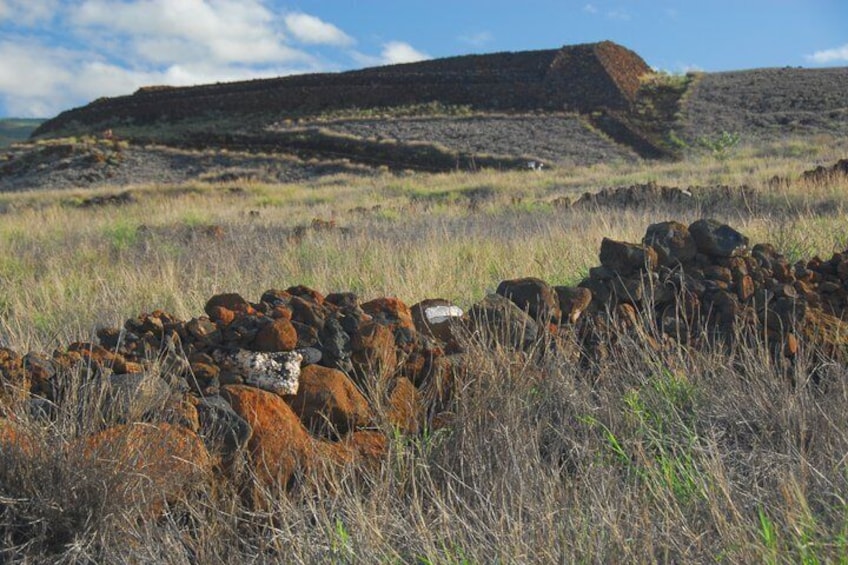 Private Kohala Coast History And Local Market Tour 3