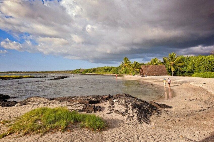 Una playa con una cabaña, palmeras y cielo nublado. 2