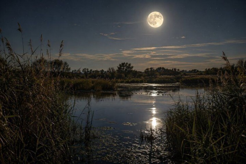 Explore the Night Secrets of the Ebro Delta 1
