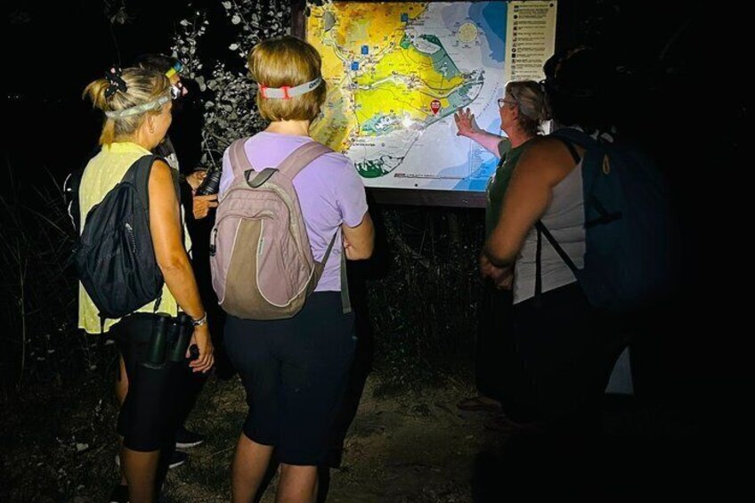 Explore the Night Secrets of the Ebro Delta 4