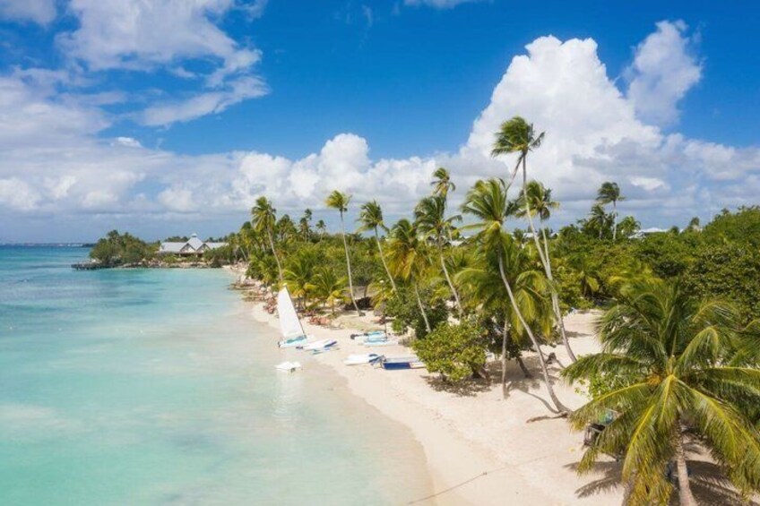 Saona Island Tour Culture Beach and Boat Adventure 3