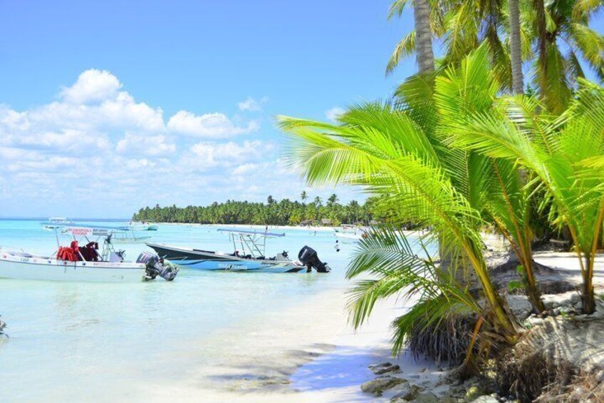 Saona Island Tour Culture Beach and Boat Adventure 3