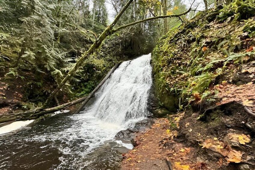 A waterfall in a forested area with moss-covered rocks and fallen leaves. 4