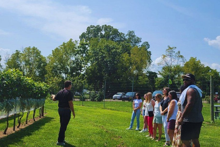 A group of people standing on a grassy field with trees in the background. 4