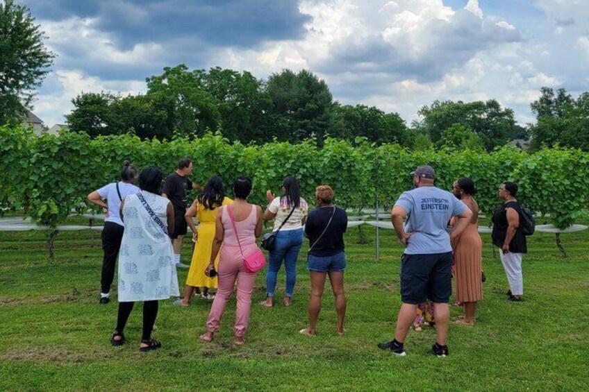 Interactive Winemaker's Tour at Evansburg Vineyards 1