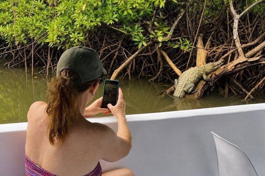 A person in a bathtub taking a photo of a crocodile in a mangrove area. 1