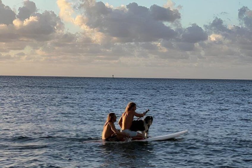 Paddle Board Experience in North Shore of Oahu 1