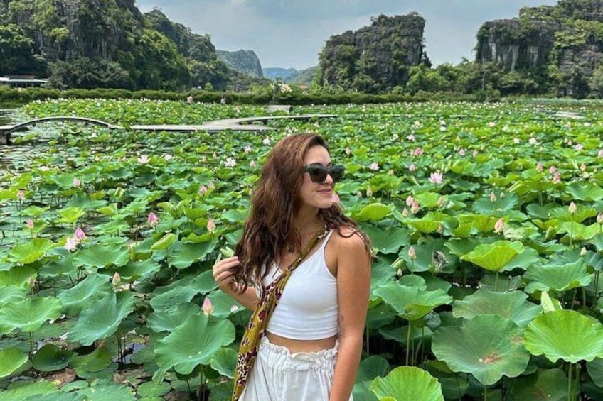A person standing amidst a lotus pond with large green leaves and pink flowers. 3