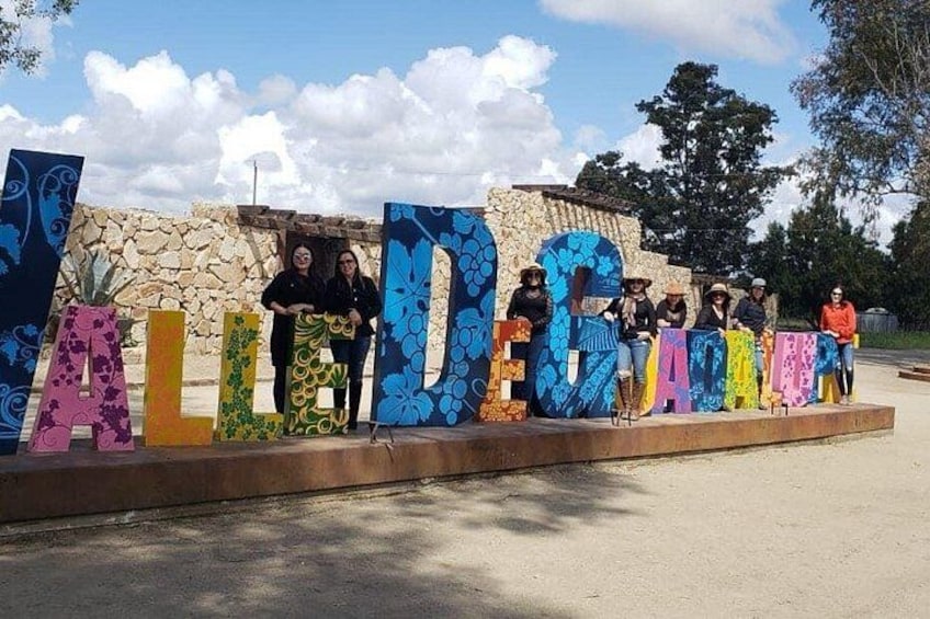 Colorful letters spelling 'ALDEGA' with people standing behind them. 4