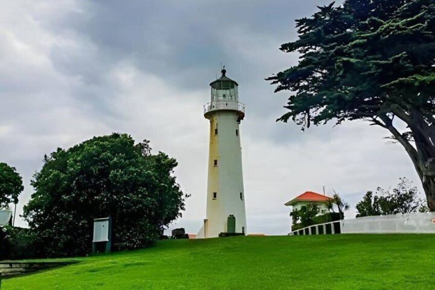 Tiritiri Matangi Island Private Tour 3