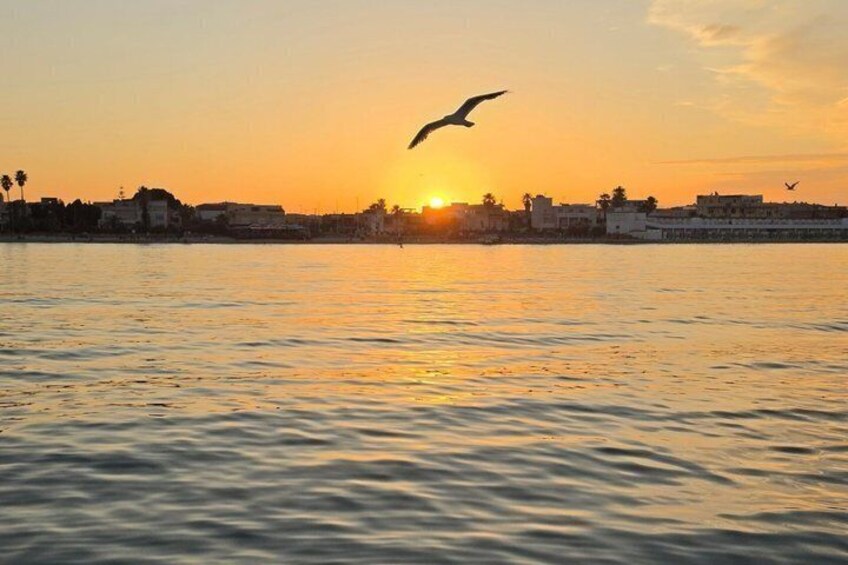 Golfo degli Angeli Shared Boat Tour 2
