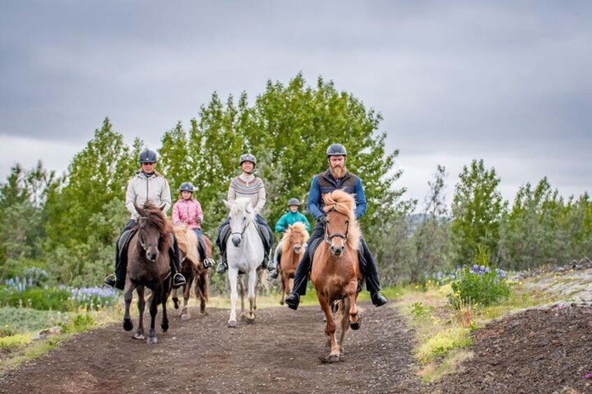 A group of people riding horses on a dirt path with trees in the background. 5