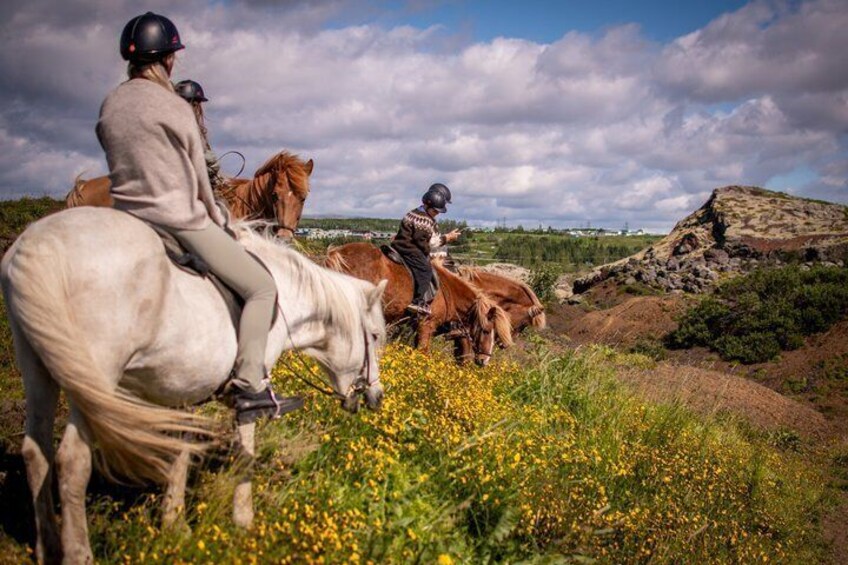 Icelandic Horseback Riding Tour from Reykjavik 3