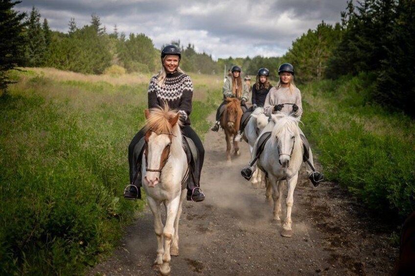 Icelandic Horseback Riding Tour from Reykjavik 4