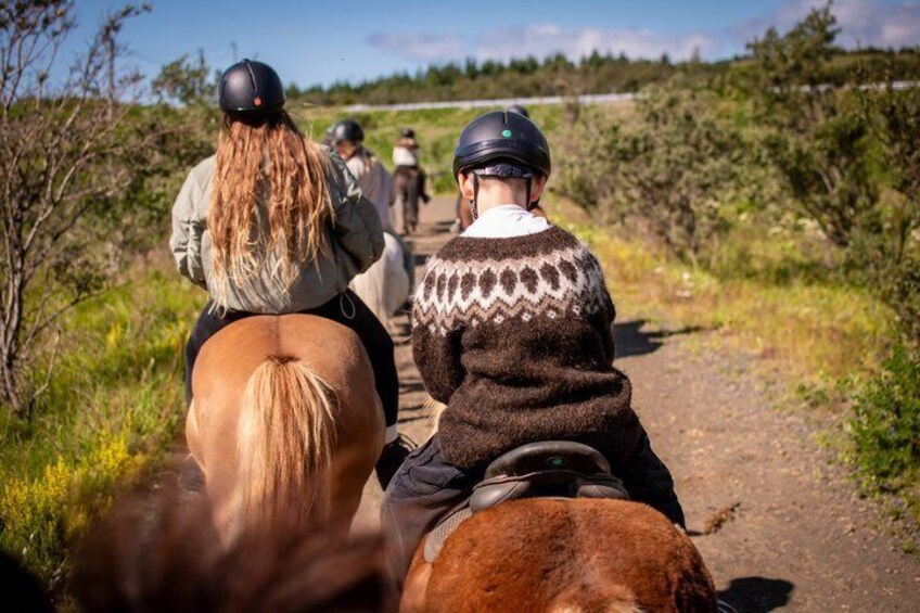 Icelandic Horseback Riding Tour from Reykjavik 5