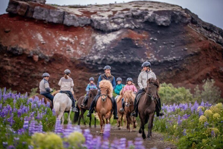 Icelandic Horseback Riding Tour from Reykjavik 2