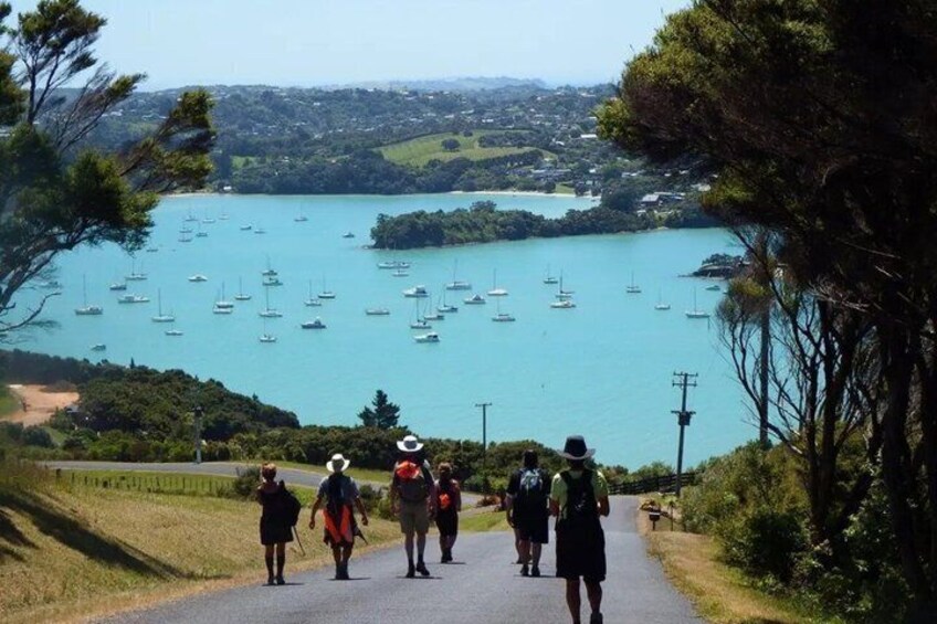 Waiheke Island Walking Private Tour 2