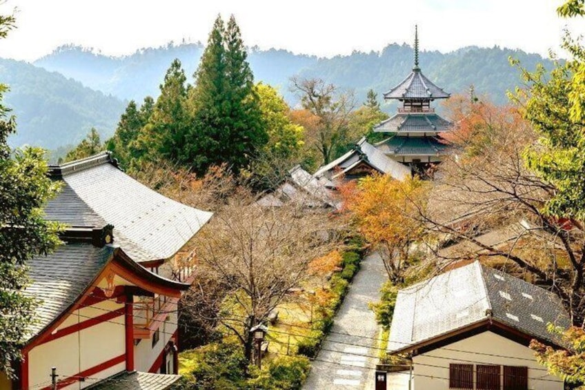 Mount Yoshino Cherry Blossom Private Day Tour from Osaka & Kyoto 1