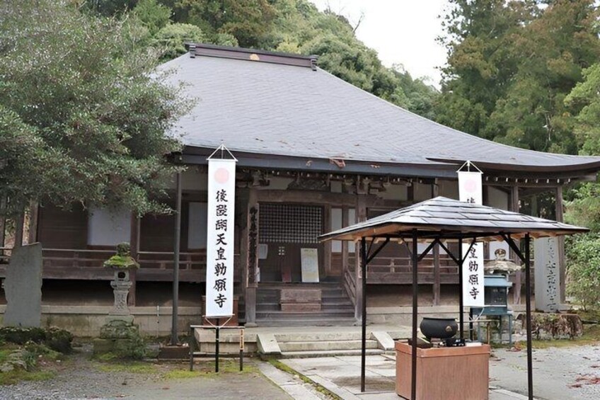 Mount Yoshino Cherry Blossom Private Day Tour from Osaka & Kyoto 3