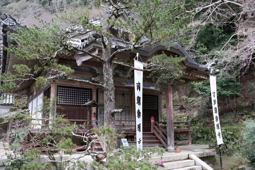 Mount Yoshino Cherry Blossom Private Day Tour from Osaka & Kyoto 2