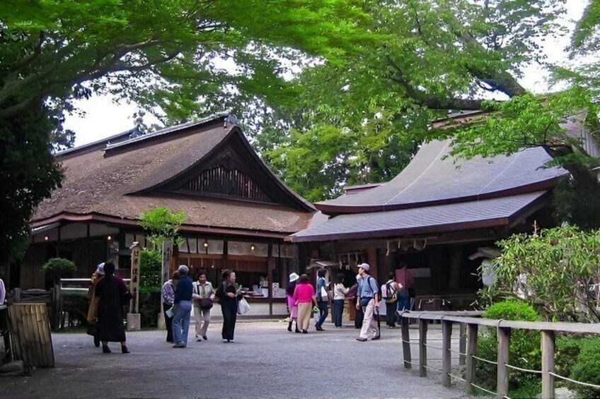 Mount Yoshino Cherry Blossom Private Day Tour from Osaka & Kyoto 5